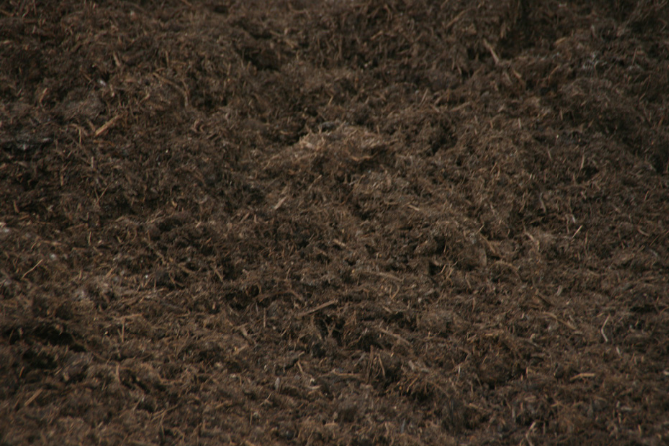 Compost