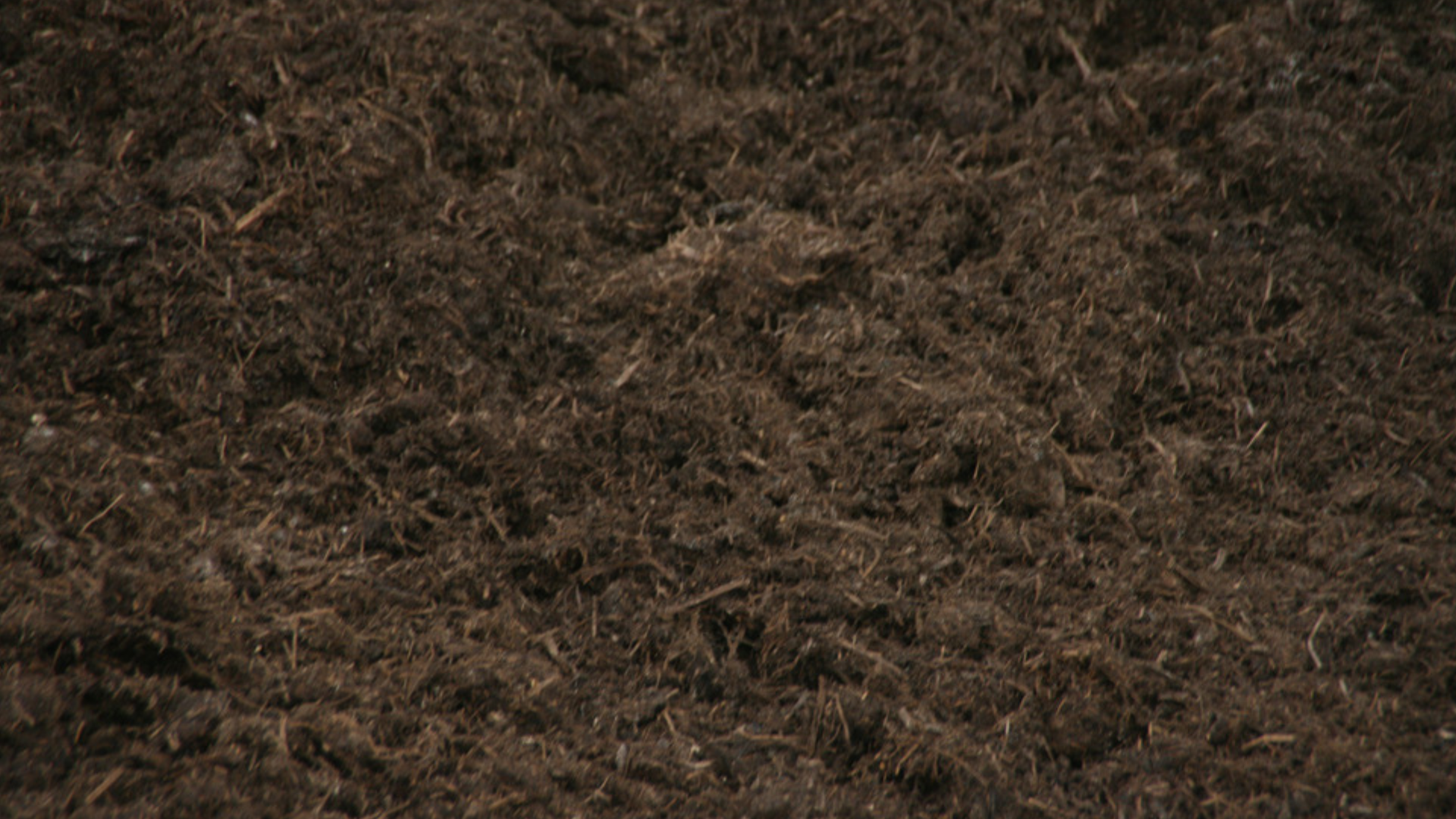 Compost